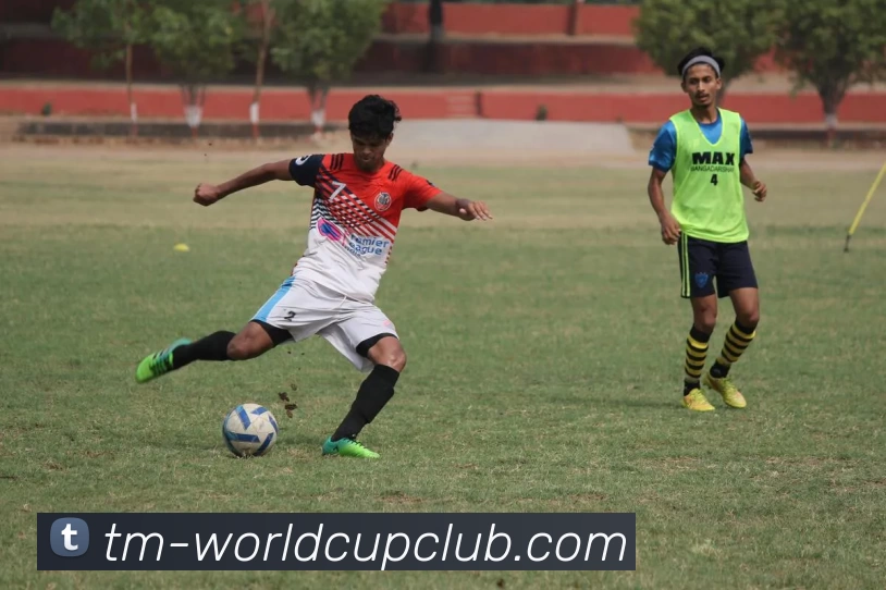 足球赛事投注平台生态图